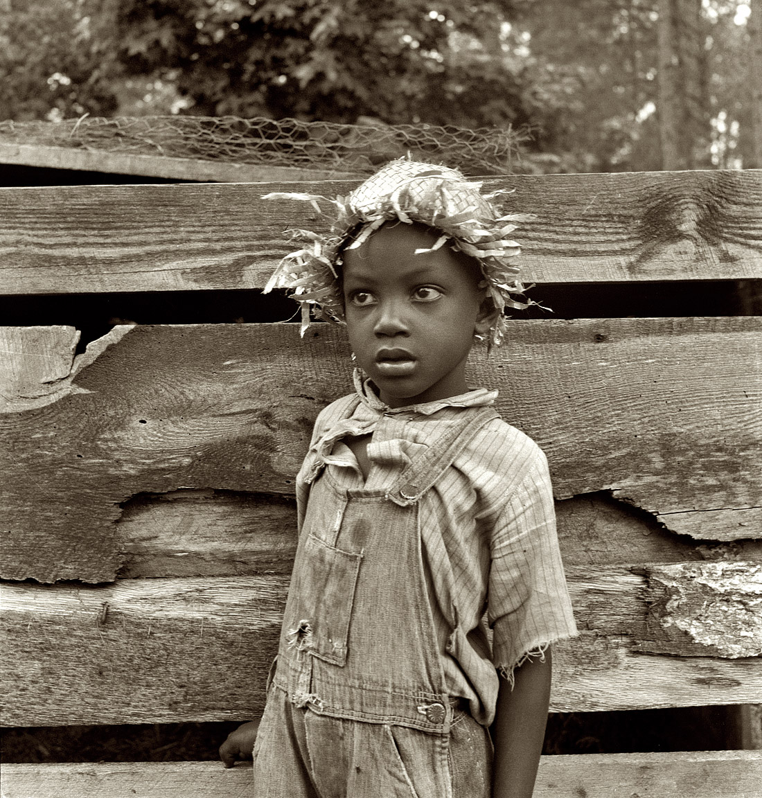 July 1939. "Grandson of Negro tenant farmer whose father is in the penitentiary." Granville County, North Carolina. View full size. Medium-format nitrate negative by Dorothea Lange for the Farm Security Administration.