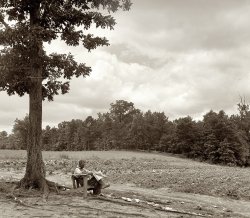 July 1939. "Negro tenant farmer reading paper on a hot Saturday afternoon. Note vegetable garden across footpath. Chatham County, North Carolina." Photograph by Dorothea Lange for the Farm Security Administration. View full size.