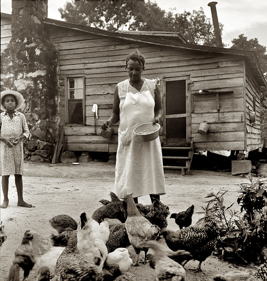 July 1939. "Noontime chores: feeding chickens on Negro tenant farm. Granville County, North Carolina." View full size.  Medium-format nitrate negative by Dorothea Lange for the Farm Security Administration.