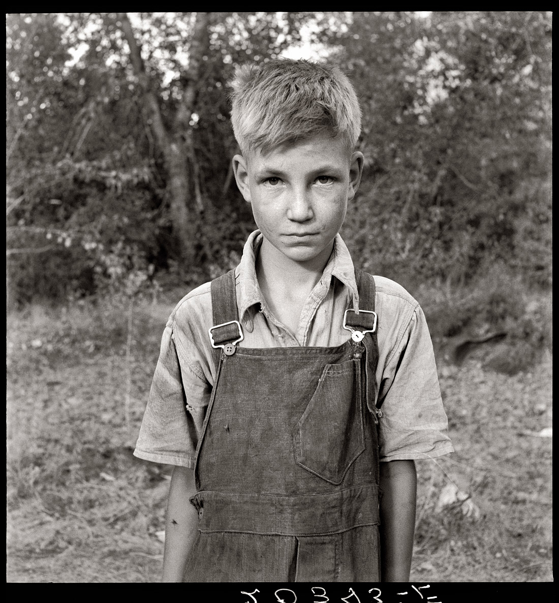 August 1939. Migratory boy in squatter camp. Has come to Yakima Valley, Washington, for the third year to pick hops. Mother: "You'd be surprised what that boy can pick." View full size. Photograph by Dorothea Lange.
