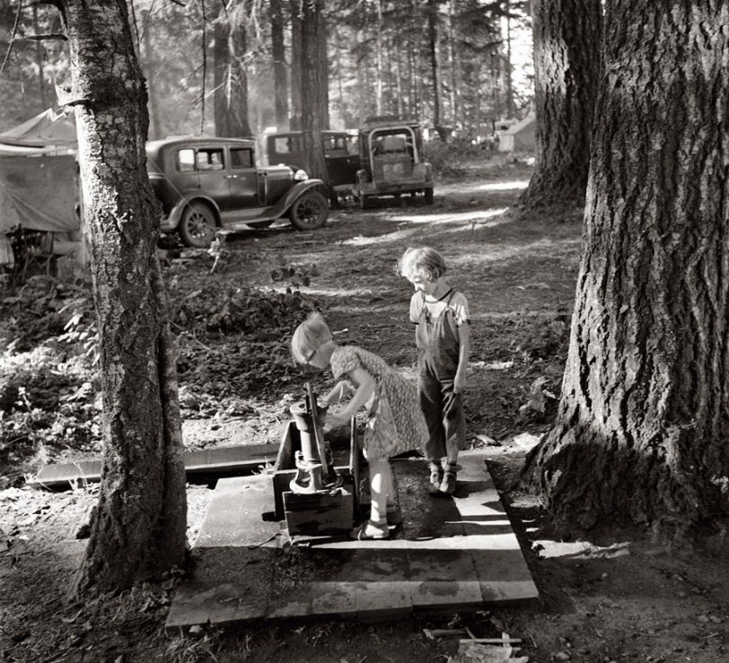 Photo of: Bean Pickers: 1939 -- August 1939. Marion County, Oregon, near West Stayton. Children in large private bean pickers' camp. The pickers came from many states, from Oklahoma to North Dakota. View full size. Photograph by Dorothea Lange.