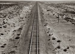 October 1939. Western Pacific tracks through the unclaimed desert of northern Oregon, 10 miles from the railroad station at Irrigon. View full size. 4x5 nitrate negative by Dorothea Lange for the Farm Security Administration.
No EndThe picture is a beauty. I can't stop staring at it. It makes a great case for the Flat Earthers. Anyone know if the land's been reclaimed or if those tracks are still being being used?
Irrigon, OregonCan't be certain of the status of the rail line. It would be a Union Pacific line now and from Google Earth I do know that there is a rail line running east to west through the town of Irrigon, Oregon (what a great name), but I can't verify that this is it. In looking at the Google Earth images of this place I noticed these circular areas of presumably irrigated land along the rail line (Irrigon, Oregon, irrigation!) so it would seem that this area is being "reclaimed." I do know as someone who grew up and still lives in Saskatchewan the concept looks entirely foreign. Talk about crop circles!
Railroad at IrrigonIrrigon is near Hinkle, almost on the banks of the Columbia River.  Western Pacific never got to Oregon except by trackage rights on the Great Northern "Northern California Extension" from Klamath Falls, finished just in time (1931) for the depths of the Depression, but now possibly with its heaviest use ever. The track shown is now and has been for at least a century Union Pacific. Oops, wait a second --  depending on the actual location, that particular piece may have been lifted on account of river work, as Terraserver indicates a dead end at Irrigon. Perhaps it was originally Oregon Railway and Navigation, but the dog ate my homework.
From a bridge?The pic was taken from some height over the tracks. I wonder if it was taken from a bridge.
IrrigonNot that far from where I live, and it doesn't look that much different today.
[I drove across Oregon to Idaho in 2000. The high-desert part was gorgeous. - Dave]
(The Gallery, Dorothea Lange, Railroads)