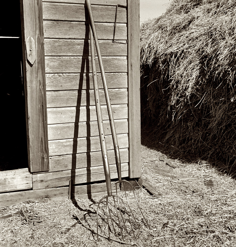 October 1939. "Hay forks. Northern Oregon farm. Morrow County, Oregon." View full size.  Medium-format nitrate negative by Dorothea Lange for the FSA.