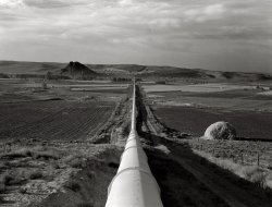 October 1939. Malheur County, Oregon. "Siphon, the world's longest, which carries water five miles to Dead Ox Flat. It is eight feet in diameter." 4x5 nitrate negative by Dorothea Lange for the FSA. View full size.