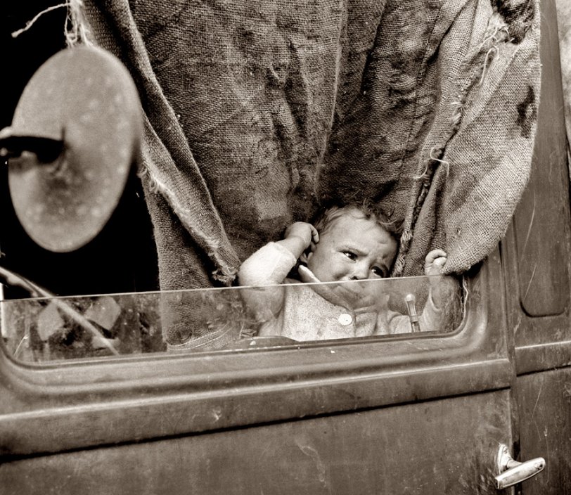 Photo of: Baby on Board: 1939 -- October 1939. Baby from Mississippi in truck at the Farm Security Administration camp at Merrill, Oregon. View full size. Photograph by Dorothea Lange.