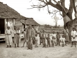 February 1937. Gee's Bend, Alabama. Descendants of former slaves of the Pettway Plantation. They are still living under primitive conditions there. Meat in sacks hangs from tree limbs to be cured. Medium format nitrate negative by Arthur Rothstein for the Farm Security Administration. View full size.