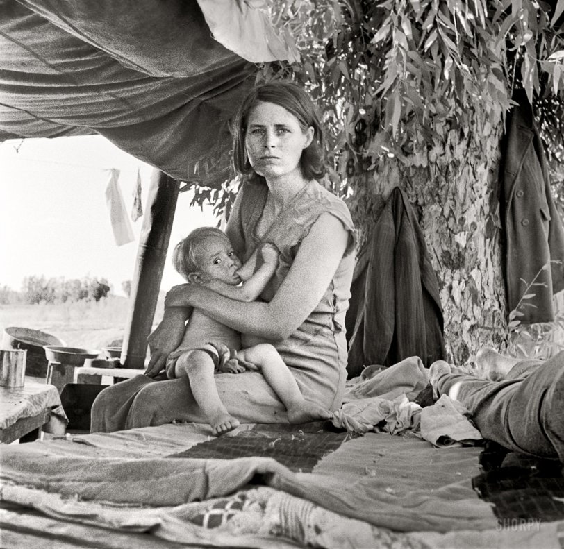 August 17, 1936. Blythe, California. "Drought refugees from Oklahoma camping by the roadside. They hope to work in the cotton fields. There are seven in family. The official at the border inspection service said that on this day, 23 carloads and truckloads of migrant families out of the drought counties of Oklahoma and Arkansas had passed through from Arizona entering California." Medium-format negative by Dorothea Lange for the Resettlement Administration. View full size.
