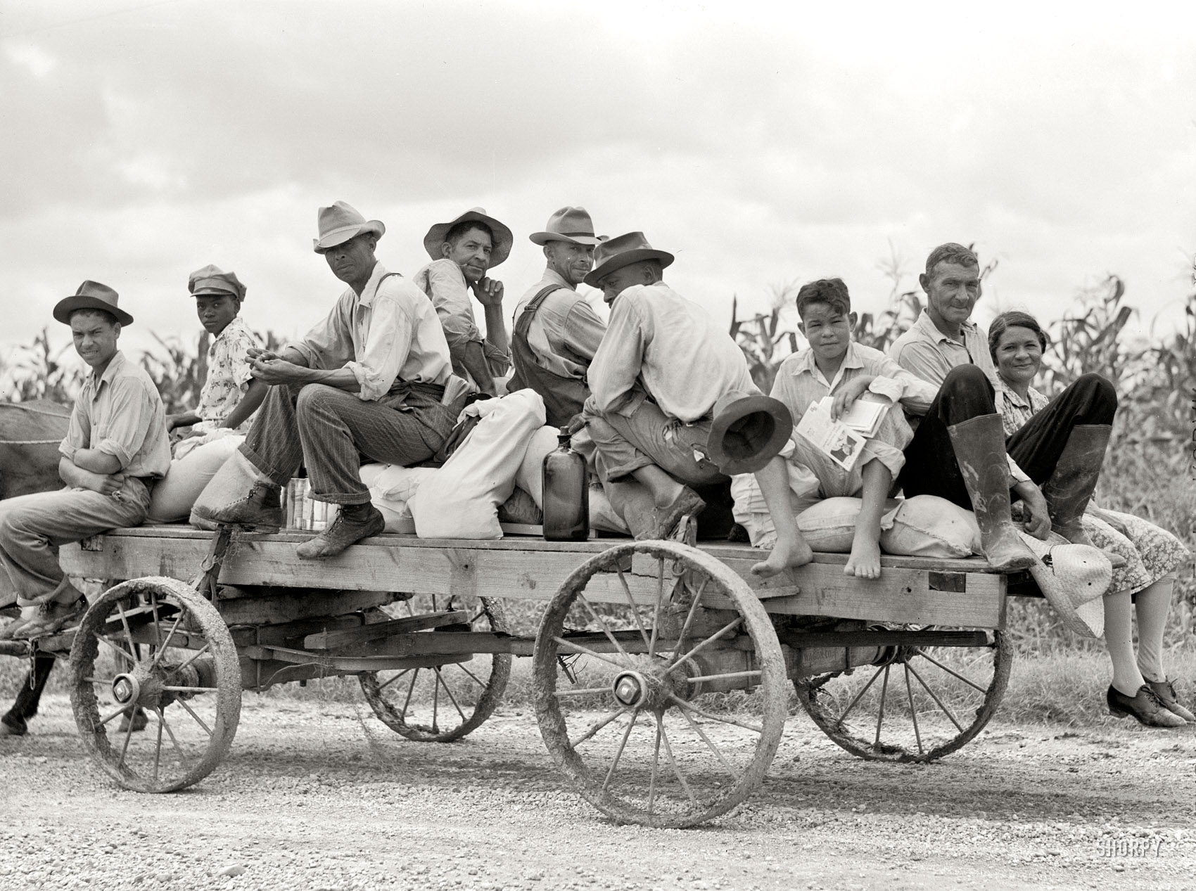 July 1940. Natchitoches Parish, Louisiana. "Mulattoes returning from town with groceries and supplies near Melrose." Medium format negative by Marion Post Wolcott for the Resettlement Administration.  View full size.