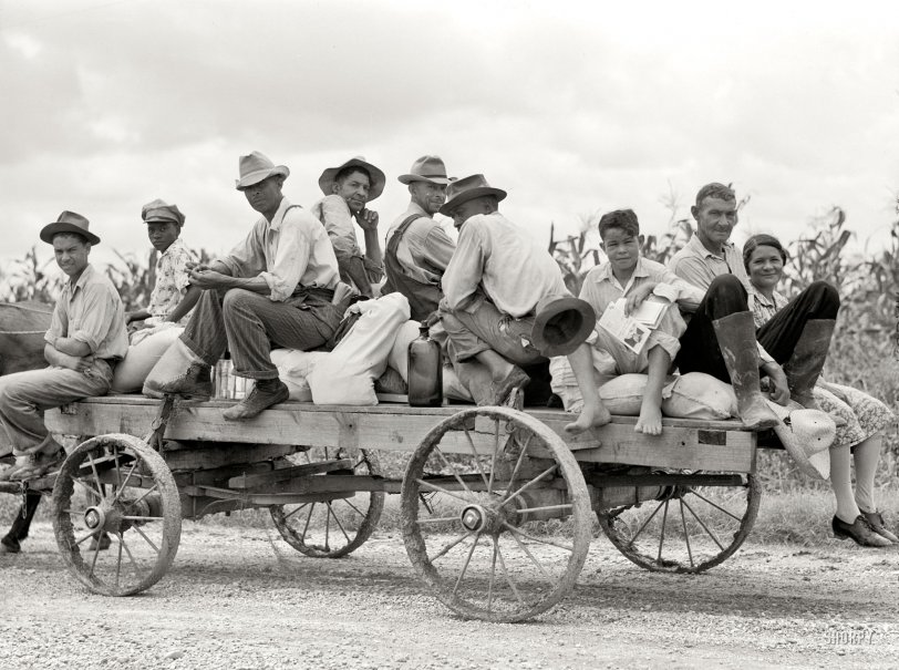 July 1940. Natchitoches Parish, Louisiana. "Mulattoes returning from town with groceries and supplies near Melrose." Medium format negative by Marion Post Wolcott for the Resettlement Administration.  View full size.
