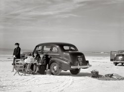 January 1941. Sarasota, Florida. "Guests of Sarasota trailer park picnicking at the beach." Medium format negative by Marion Post Wolcott.  View full size.
Miserable much?Hey, they're from Ohio, where gloominess is an avocation. I think it's all the snow and other winter weather that does it.
Fun in Florida!Because nothing says "Fun in the sun!" like pantyhose, sensible shoes and a black wool coat. I feel relaxed just looking at this photo.
BUICK, 1938Hija, de pié; padre, madre y abuela...
Todos muy serios. ¿Quién hizo la foto?
Cloudy dispositionsWhat funereal looking people, given that they're on a beach!  Could they look more miserable?
A good time was had by all.This poor guy is on a vacation with three women and nothing he says is going to be correct (if he even gets a word in edgewise).  He might as well just shut up and drive.  Ain't we got fun? They look like the Carol Burnett crew from "Mama's Family."
Seeing RedI shudder to think of the number of traffic lights one would encounter driving from Ohio to Florida before the interstate highway system.
These Sensible Shoes Are Made for Stompin&#039;Hupmobile?  These ladies drive the Hurtmobile.
Party like it&#039;s 1949The wife, the mother-in-law, and the twice divorced or spinster sister-in-law. Rock on.
Where&#039;s a tsunami when you need one?Oh my, this photo is downright sad:  Sarasota when it was pure, pristine, undeveloped -- one of the most magnificent beaches in the world, as hinted at by this photo.  Yet this bunch of champion curmudgeons is "enjoying" it by driving their car onto it and apparently having a decidedly bad  day.
Go ahead and make fun of them..These are the people upon whose shoulders we stand.
Been ThereWhat a hoot! People dream of fun vacations and picnics by the sea. This is usually what they get. 
Possible reasons for looking so sad1. About to scatter Aunt Tillie's ashes into the Gulf.
2. Looks to be about 35 degrees there -- that's not sand, it's snow!
3. Women depressed at being rejected for off-camera bikini contest.
This is a1938 Buick Straight Eight. A very
serious automobile.
I never liked the beachAll that sand gets in your sandwiches and between the teeth.
You&#039;re 60+ years oldYou've probably worked all your life.  You drive from Ohio to Florida. You sit outside and have a little meal and look at the sand and the water.  You aren't gloomy; you aren't a stick-in-the-mud; you are tired.
Mystery SolvedI've often wondered what those running boards were used for.
Another American GothicI find this photo particularly soothing. The auto looks polished and the people appear to be all dressed up.
I remember my grandmothers' Sunday print dresses and those sensible shoes. We used to call them "nun shoes." And I love their hats, too.
Maybe this is their last day in Florida and they're paying one last visit to the shore. They've had lunch and they're in that moment before someone says, "Well, that's it. Let's get everything packed and start back for Ohio."
Traffic Light HellAlexander raises an interesting point.  While it's true that road travel before the interstate system was much slower, it's also true that it was much more fun and interesting.  The interstate system homogenized cuisine and culture; it eradicated local diners and bypassed points of interest and replaced them with national fast-food chains and sheer boredom.  In the pre-interstate era, a road trip from Ohio to Florida would have been a trip through dozens of local cultures, small towns, interesting sights, and a lot of darn good food.  Now it's just mind-numbing hours of exit numbers, all featuring exactly the same bad choices of things to eat and absolutely nothing to see or do.  As much good as the interstate system has done, it has also killed much of small-town America and local flavor and culture.
&quot;What&#039;s that over there?&quot;"Over where?"
"Out there, in the water."
"Well, why didn't you say in the water to begin with?"
"I gestured."
"I didn't see it."
"I gestured with my eyes."
"You can't gesture with your eyes."
"You weren't paying attention."
"It looks like a sailboat."
"How pretty. Like Father's old boat."
"Shouldn't we be getting back? I have sand in my shoes."
Times changeI'll bet if you asked these folks how they enjoyed their day at the beach they'd say it was terrific.  All depends on what you're used to. BTW, pantyhose were not invented for another generation. These ladies had old fashioned stockings held up by garters, that were probably attached to their girdles.  The guy probably had old fashioned (pre Spandex) socks, held up by garters, too.
Sotto BlottoHow do you know they aren't stinking drunk and just holding still until the photographer is gone to get back to the party?
"Quick, Ethel, put on your sober face -- they got the camera out again!"
Carey is right.Travel back then was more of an adventure than today.
Our first road trip from New Jersey to Florida was in 1955 when I was 7 years old. Route 95 was only finished in sections so most of the way we were turning off and traveling on Route 301 through tobacco fields, cotton fields, stopping at small town diners and roadside attractions. We still talk about what great fun we had and how it was an adventure for all of us.
[If by "Route 95" you mean I-95, the Interstate Highway System wasn't even begun until 1956. Perhaps you mean U.S. 1. - Dave]
Driving SouthIn February of 1956, I answered a classified ad in the NY Times offering cars to drive to Florida. A friend and myself were given a new Ford convertible and a full tank of gas. All other expenses were on us. We were allowed 3 days to get there. Using routes 1 and A1A, we drove the car there in 28 hours (including being stopped for speeding and waiting for a magistrate to come in and fine us $15) and then had the car for us to use for a couple of days. The car's owner lived on an island in the Miami area and after we gave her a sob story she tipped us $25.
I&#039;m nearby when this picture was takenBack in 1941, I was 5 years old and living in Sarasota.  The next year, because of the war and transportation was for servicemen mainly, few tourists came to town.  My father lost his therapy business downtown and we all moved to Bridgeport, Connecticut, to find work.  My life changed forever in 1941, as it did for every American citizen on Dec. 7. Sarasota was a lovely little town back then; now it is beautiful, but without me, I'm sorry to say.
Snow BirdsI am from around Sarasota, Florida, and I love that it is January and they seem to be from Ohio. If you were to be in Sarasota in January there would still be a lot of people from Ohio!
I also love how they're just relaxing on the beach. It's so interesting to me how the same beach I have played and laid out on my whole life has been "bathed" on for so many years. 
(The Gallery, Cars, Trucks, Buses, Florida, M.P. Wolcott)