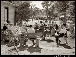January 1941. Another view of the Sarasota, Florida, trailer park concert posted yesterday. View full size. Medium-format negative by Marion Post Wolcott.