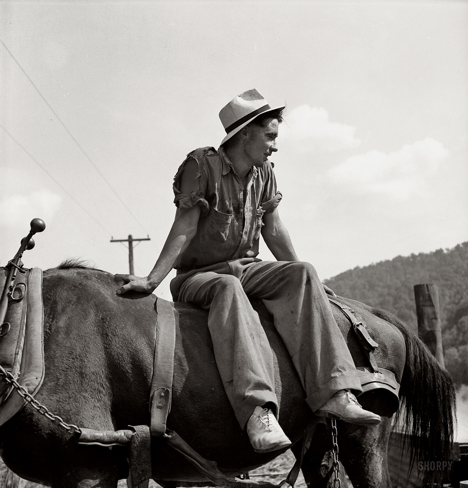 September 1938. Racine, West Virginia. "Farmer's son who helps make sorghum molasses from sugarcane." Photo by Marion Post Wolcott. View full size.