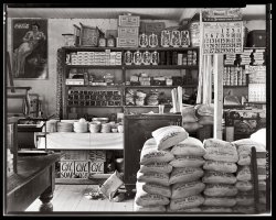 Interior of the general store in Moundville, Alabama. Photographed by Walker Evans in the summer of 1936. Top shelf inventory: 1 box Peter Loaded Shells, 2 chairs, 2 Aurora oil cans, 8 boxes quart-size Ball square mason fruit jars, 2 small lanterns, 3 large lanterns, 9 galvanized tubs, 1 trunk. Maybe someone would like to inventory the rest of the room. View full size | View even larger.