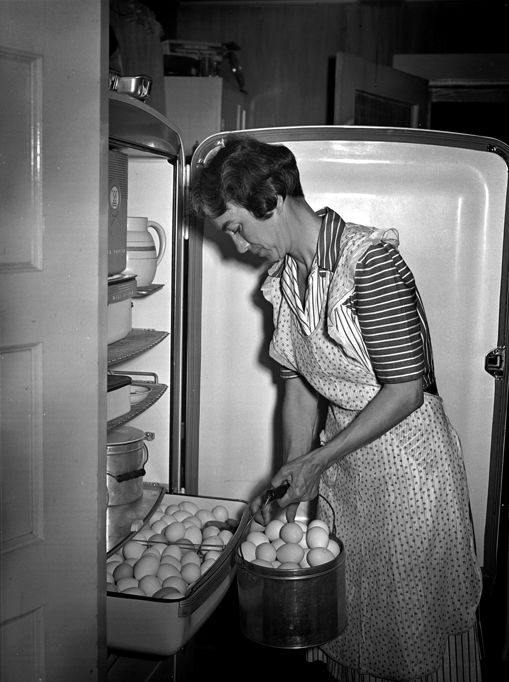 An electric refrigerator helps Mrs. Case keep her eggs fresh in Lauderdale County, Alabama. This photograph for the Tennessee Valley Authority was taken by Arthur Rothstein in June, 1942. View full size.