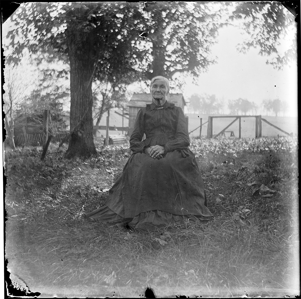 Scanned from the original 3.5 x 3.5 inch glass negative. View full size.