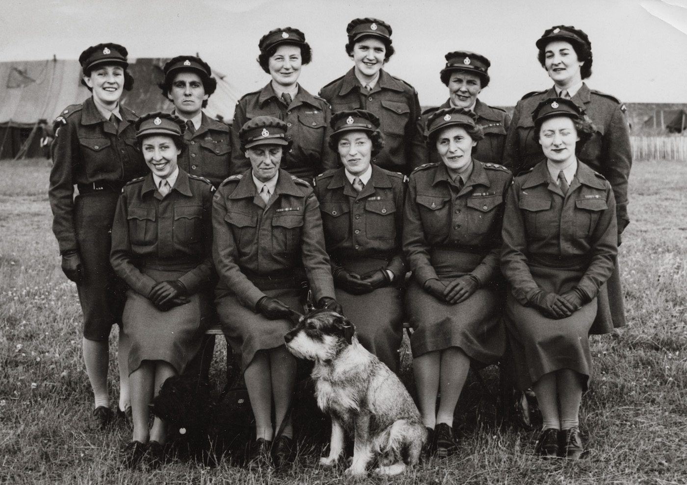 My mother (back left), 2nd Lieutenant, with other Women's Royal Army Corps officers in Scotland, c. 1949. The Schnauzer was the Commanding Officer's and was apparently a vicious beast that everyone was afraid of. Mom was drafted and served as a truck driver.

I have to check the details with my mother and her Service Book. View full size.