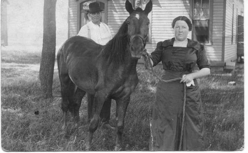 The Engels' brand new horse circa 1900 in Baroda, Michigan.