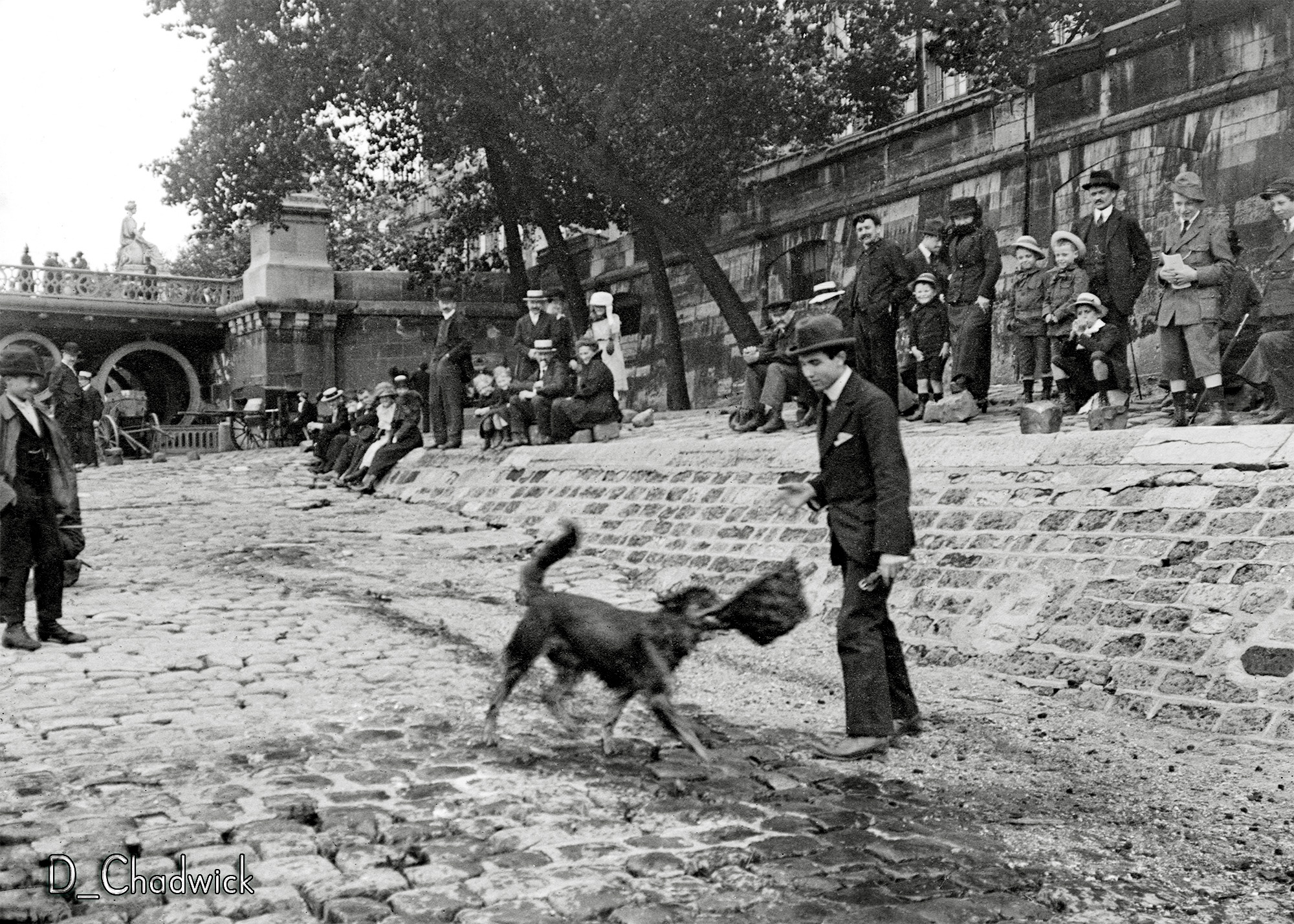 Judging from the expressions on the faces of the crowd whatever he and his human assistant were doing must have been very entertaining.  The bridge in the background is the Le Pont du Carrousel. Scanned from the original glass 6x4cm French negative. View full size.