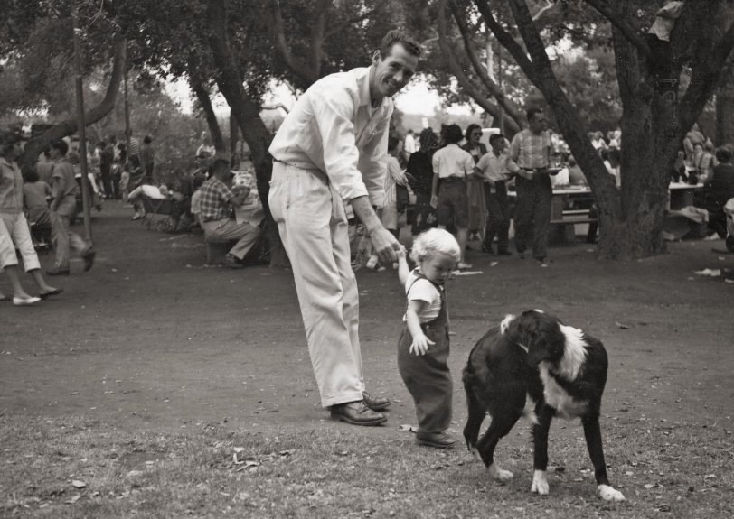 Consolidated Engineering Company Picnic, 1956. La Verne Park, California. Lee Jensen and his 2-year-old daughter Lori Jensen saying hello to a stray dog. Lori disliked most dogs, but this one caught her eye.
