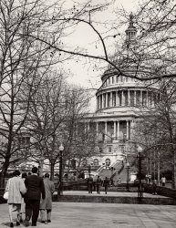 Washington, DC, 1954. Photo taken by Shegoi. View full size.
(ShorpyBlog, Member Gallery)