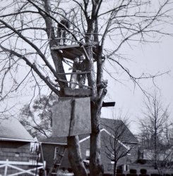 My brother and the neighbors helping construct our custom tree house.  Lumber was expensive back then but we were thrifty and got the job done under budget!