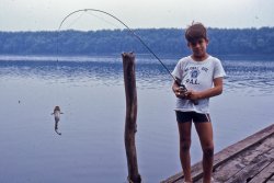 Dad fishing. Taken on the Susquehanna River, South Williamsport, PA, in 1967 by my grandfather. View full size.
Fish SmilingThat's a great shot. It looks like the fish is smiling for the camera before he kicks the bucket.
(ShorpyBlog, Member Gallery)