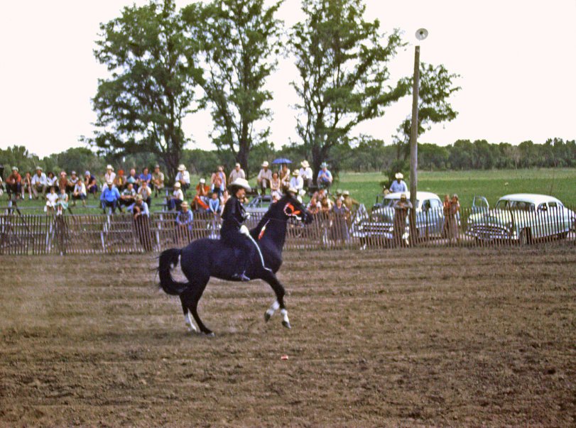 This is one of the horses which were called "Dancing Horses" and were housed in Meade, Kansas. They performed at Cimarron Days in 1953 and were photographed by my late Father-in-law, J. Leslie Stewart.  This was found in a storage box which now belongs to his children. View full size.
