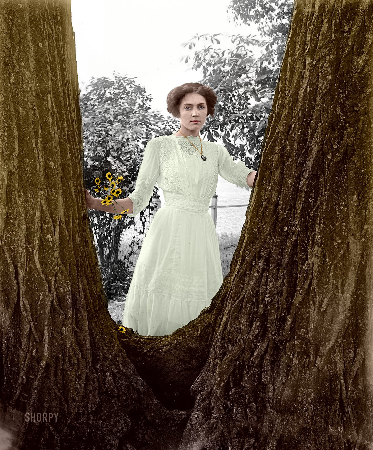 Colorized from Shorpy's files. Lewinsville, Virginia, circa 1910. "Della Storm." A younger member of the Storm clan. National Photo Company Collection glass negative. View full size.