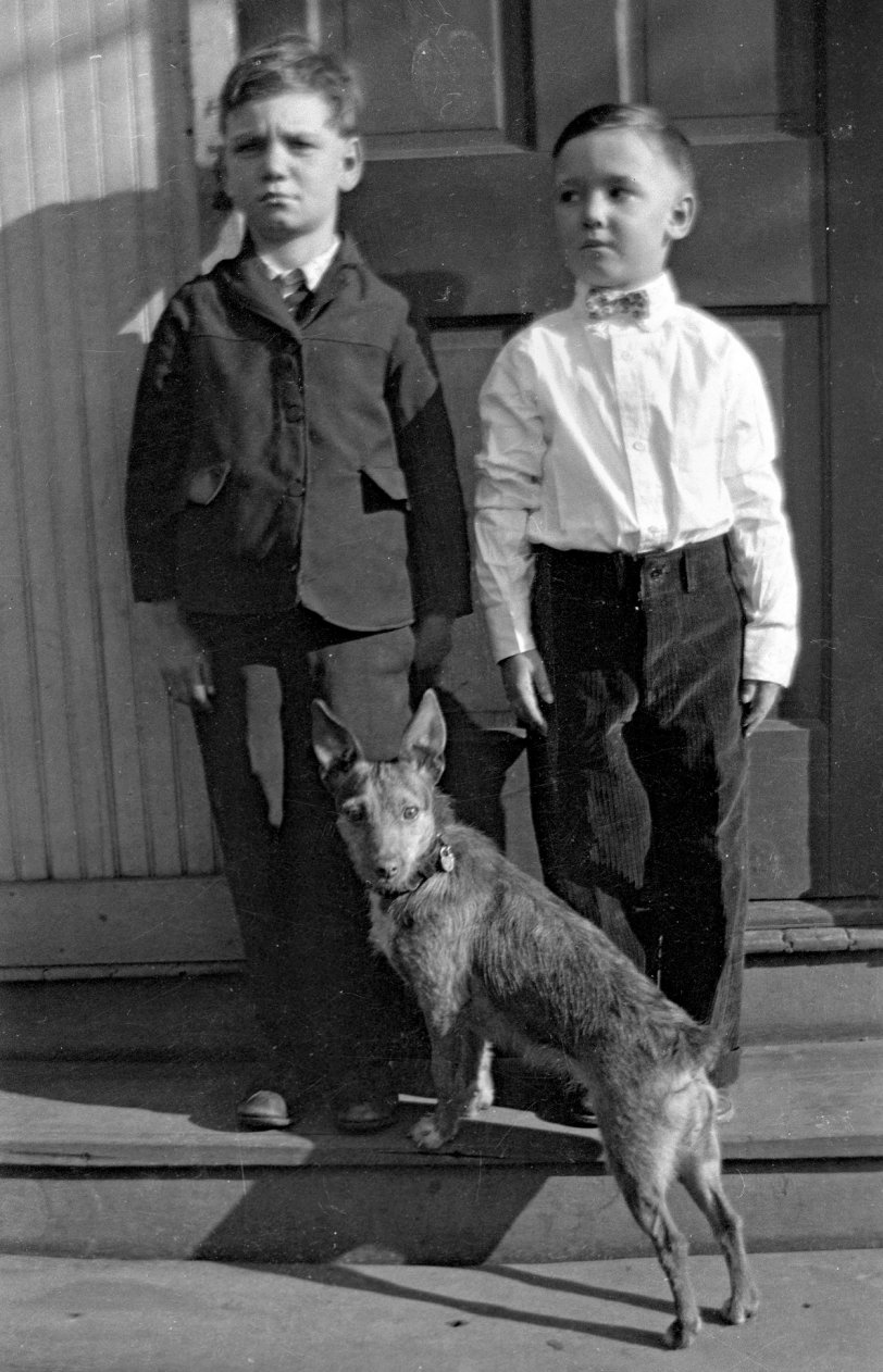 Glass plate negative from the family album of Arline Webb, wife of Peoria, Illinois Police Officer Alvin "Jerry" Webb. Daughter of Garnet (Schbotka) Kneer and Fire Chief Rudolph “Rudy” Kneer. Uncle to Alderman Wendolyn “Wink” Kneer. (Photos taken in Tazewell and Peoria County). View full size.

