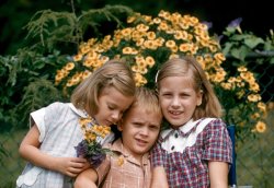 Arlington, Virginia, in 1955. Squeezed between my sisters.  35mm Kodachrome slide. View full size.
Pop CoutureGreat photo, John! Your sister on the left is wearing Pop-It beads! Haven't seen those for years.
Awww Look at brother squirmI can tell by your look that it isn't your favorite pose.  :)  
So good in several waysLovely kids.  Sweet pose.  And photographer who, obviously, knew how to get a good exposure.  But let's also give kudos to Kodachrome.  What magical stuff that was.  Here (to my eyes, anyway), the reds and yellows gently roll slightly toward orange.  Or maybe I should say gold.  Thanks JohnZ for sharing such a gem.
GET OFF ME!It is apparent the love and camaraderie from young man toward the sisters.  Any man who has sisters knows what this feeling is.  If we could bottle this and share with the world -- touching.
EwwwGirl cooties!
Too Close for ComfortYes, I definitely felt it was torture being squeezed between two sisters.  Now, I am happy to have this memory.
My sister, Jane, loved Pop-It beads, Bride Dolls and dolls that wet their pants. 
The photo was taken by my grandfather.
This is such a sweet pictureWonderful photo...the clarity and amazing Kodachrome detail makes it look like it was taken yesterday.  I'm thinking of my two young daughters, about this age right now, growing up way too fast.  Thank you.
A picture like this is timeless.It could have been taken today, or ten years from now.
YesThis is a 'keeper'!  Hope all are still well and ready to replicate the shot soon.
OutnumberedConsider yourself lucky; I have 7 sisters, which would have made for a very crowded photo.
(ShorpyBlog, Member Gallery)