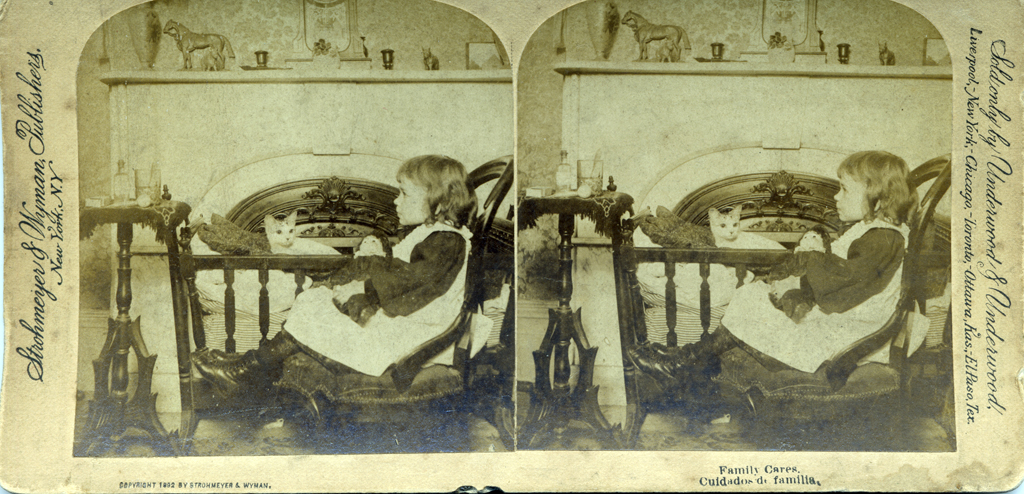 Stereo pair, Strohmeyer & Wyman; New York, c 1880