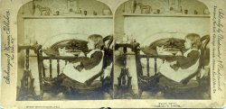 Stereo pair, Strohmeyer & Wyman; New York, c 1880
Que tempo maravilhoso!Gostaria muito de ter vivido nessa época!
(ShorpyBlog, Member Gallery)