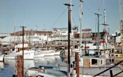 Fisherman's Wharf in San Francisco, circa 1958. This was a popular spot even back then, but has really undergone a Renaissance in recent years! View full size.
(ShorpyBlog, Member Gallery)