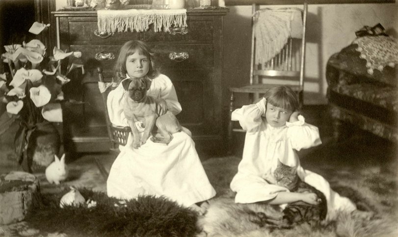 Catherine &amp; Augusta Thiele with pets, Auburn, California, c. 1895. View full size.
