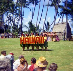 My parents took a trip to Hawaii in 1965 and took some very colorful photographs.  Here's one of a welcoming celebration of sorts for tourists. View full size.
PCCI can't see enough to be certain, but it looks to me like this was taken at the Polynesian Culture Center, in Laie, on the island of Oahu.  This was only a few years before I moved to that island, two years after which I went to college in Laie. The college, now known as BYU-Hawaii, and the PCC were together and most of the dancers in the night show were students.
Royal HawaiianThis was almost certainly taken at the Royal Hawaiian Hotel. I have a series of slides my in-laws took on their honeymoon in 1954 (will have to post some of the better ones). The Royal Hawaiian on Waikiki constantly had hula shows and the like on the grounds. The hut in the background looks to be the same one in those shots.
Polynesian Cultural CenterI agree with noelani that this looks like the PCC, which was still quite new in 1965. It was built on the grounds of what was then Church College of Hawaii (now, as noelani said, BYU-Hawaii). I was there many times in 1963-4; it was considered prime hunting ground for Marines stationed at MCAS Kaneohe, which was about an hour away.
Kodak Hula ShowI believe this pic was of the Kodak Hula Show but I will have to find the old photo albums to recall where it was held.
(ShorpyBlog, Member Gallery)