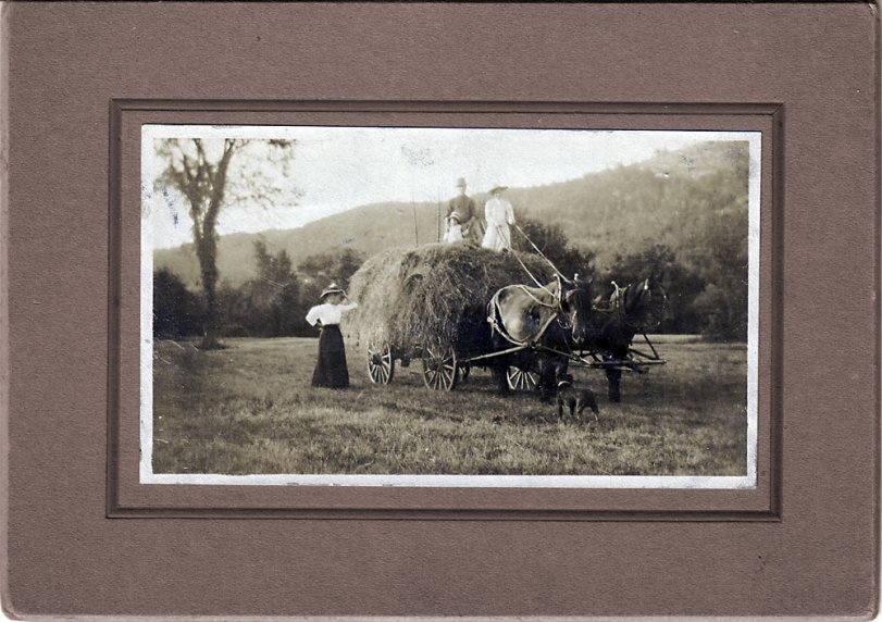 Summer of 1913, Surry, NH. Florence (Carpenter) driving horses, Grandpa (F.D.Carpenter) and John (Perry, age 2) on load of hay. Likely Mabel (Carpenter) Perry standing by rig.
