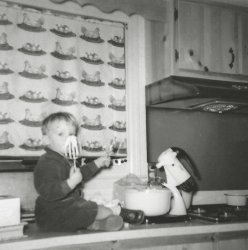 A second look at the 1962 kitchen of our Princeton, New Jersey house, featuring the chicken-and-nest window shades my mother made for it, a Caloric gas range and hood, pseudo-rustic knotty pine cabinets, a Sunbeam mixer, and my brother, sitting on the Formica counter, licking  cake batter off the mixer beaters. My mother was the photographer and she seems to be documenting her home decor as much as photographing my brother. The reason I think that is another shot from minutes earlier does not have the shade pulled down.
