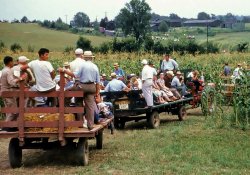 Hay wagons taking visitors to a local agricultural show on a farm in Coshocton County, Ohio in 1957.  From my grandfather's Kodachrome slides. View full size.
(ShorpyBlog, Member Gallery)