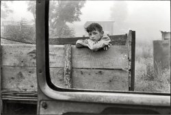 "Cornett family, Kentucky, 1972. Boy looking out from truck bed." The youngster seen earlier in "Chevy Men." Print from 35mm negative by William Gedney. Gedney Photographs and Writings Collection, Duke University.  View full size.