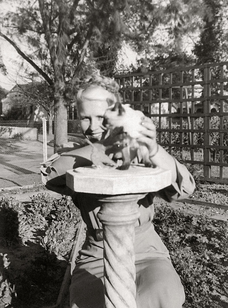 An adorable photo, from the 1940's I believe, of a Siamese kitten on top of a (birdie) sundial. From my collection of Instant Relatives photos. Wish I knew more about this one.
