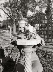 An adorable photo, from the 1940's I believe, of a Siamese kitten on top of a (birdie) sundial. From my collection of Instant Relatives photos. Wish I knew more about this one.
(ShorpyBlog, Member Gallery)