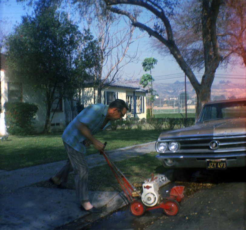 This is probably 1972 in Los Angeles. I wonder where he's going with that lawn edger. Scanned from a Kodak safety film negative. View full size.
