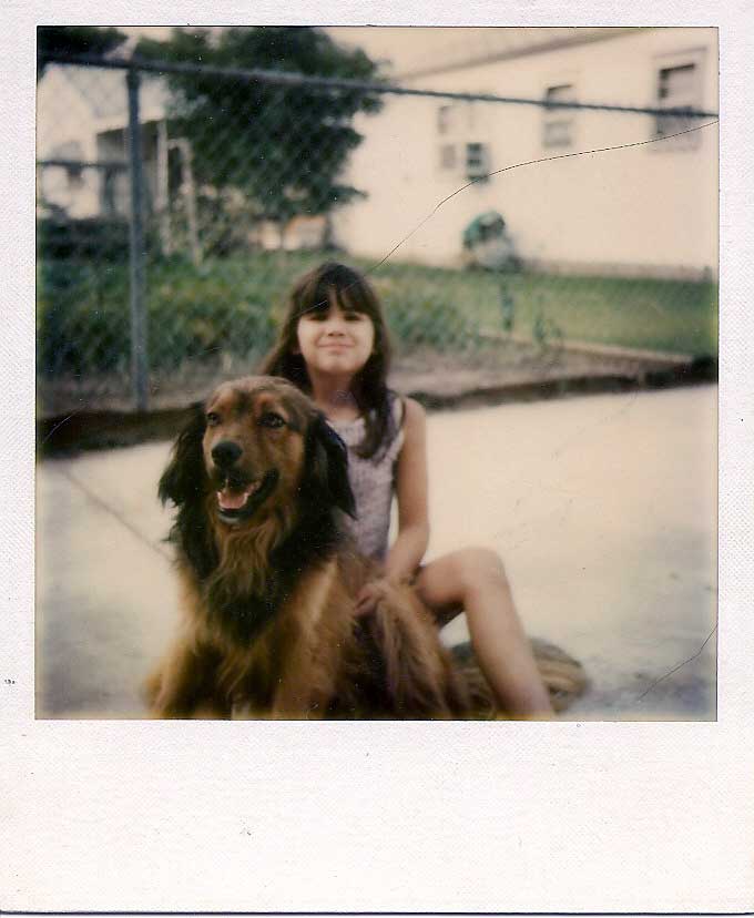 This was me and my dog Lance back in 1976. I was seven years old. Our family just loved him. He was so spoiled, too.

My step-dad taught him how to climb a ladder, so he learned to climb fences as well. He used to runaway and visit his girl dog friend. Would be gone for a day or two then return. 

Then one day in 1983, he left and never returned again. I like to think that someone kept him and gave him a good home too, 'till he went to doggy heaven. View full size.

Sydney