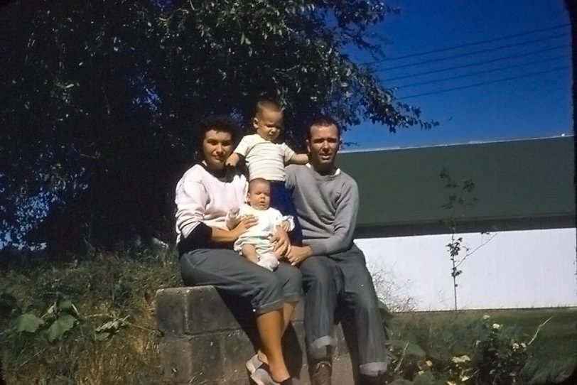 This is my immediate family, taken in 1955, probably in the fall. George (baby) was in his first year and I was two. This 35mm Kodachrome slide was taken with us perched upon what we called "The Cave." This was the place where food was stored year round. The temperature remained constantly low and acted as a natural refrigerator. On the farm near Blandinsville, Illinois. View full size.
