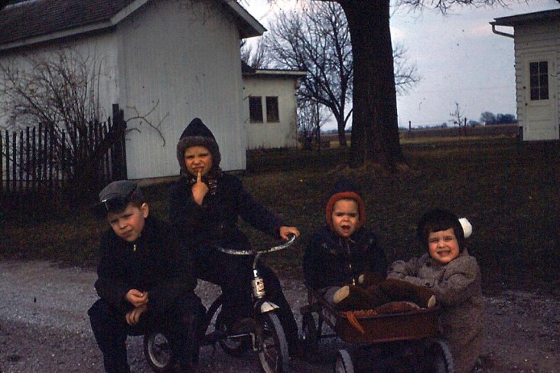 Here are the four of us kids, in 1958. L to R: Cousin Stephen, the oldest was 7, I have my finger in my mouth at age 5. George, my younger brother, 3, and Cousin Suzanne, age 4. This 35mm Kodachrome slide was taken near Blandinsville, Illinois, probably in October or early November. View full size.

