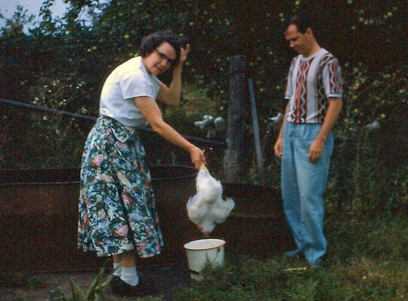My father looks on while his mother prepares a recently beheaded chicken for plucking and eventual cooking. This was standard procedure then, before the supermarket. I remember her doing this well into the 1960s. View full size.