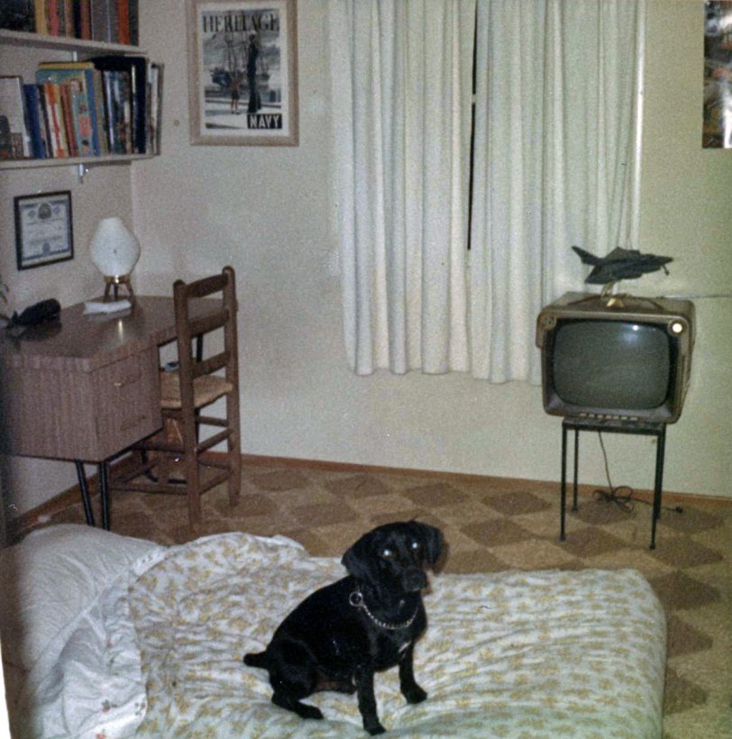 This is a Kodachrome of my bedroom in Pacifica, California, in November 1966. I was 10 years old, and apparently an unnaturally neat child. That's my stupid dog Blackie on the bed -- Blackie eventually bit a neighbor kid and "got sent to the farm" - I was in college before I figured out that my parents had him put to sleep. They were also like beatniks, so the whole house was covered in that awful seagrass rug stuff that left waffle marks on my feet. My prize possession, one share of McDonnell Aircraft stock, is framed over my desk. That desk, which is now my wife's computer desk, had an elaborate drawing of a Gemini instrument panel on the underside, and I spent hours lying under it, on the overturned Cost Plus chair, pretending I was in orbit. That's a model of a B-57 B-58 bomber on top of the Zenith TV, which had a broken on-off switch and required me to crawl under it and plug it in when I wanted to watch anything. There are a lot of Roy Gallant books on astronomy and space travel on the shelf, and the window looked out on the driveway. I really miss that camel-hair comforter on the bed. View full size.
