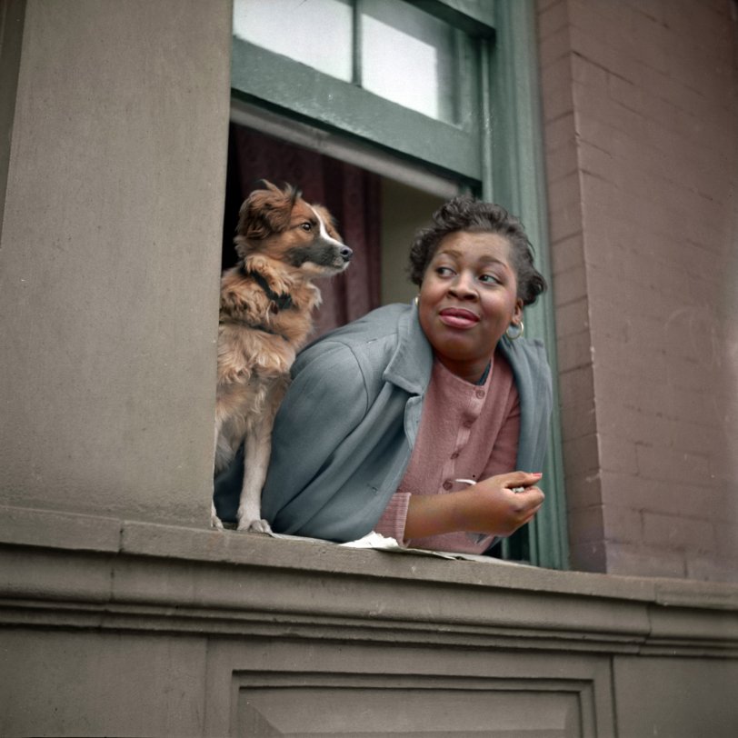 This is my colorized version of "Woman and her dog in the Harlem section," snapped in 1943 by Gordon Parks. View full size.
