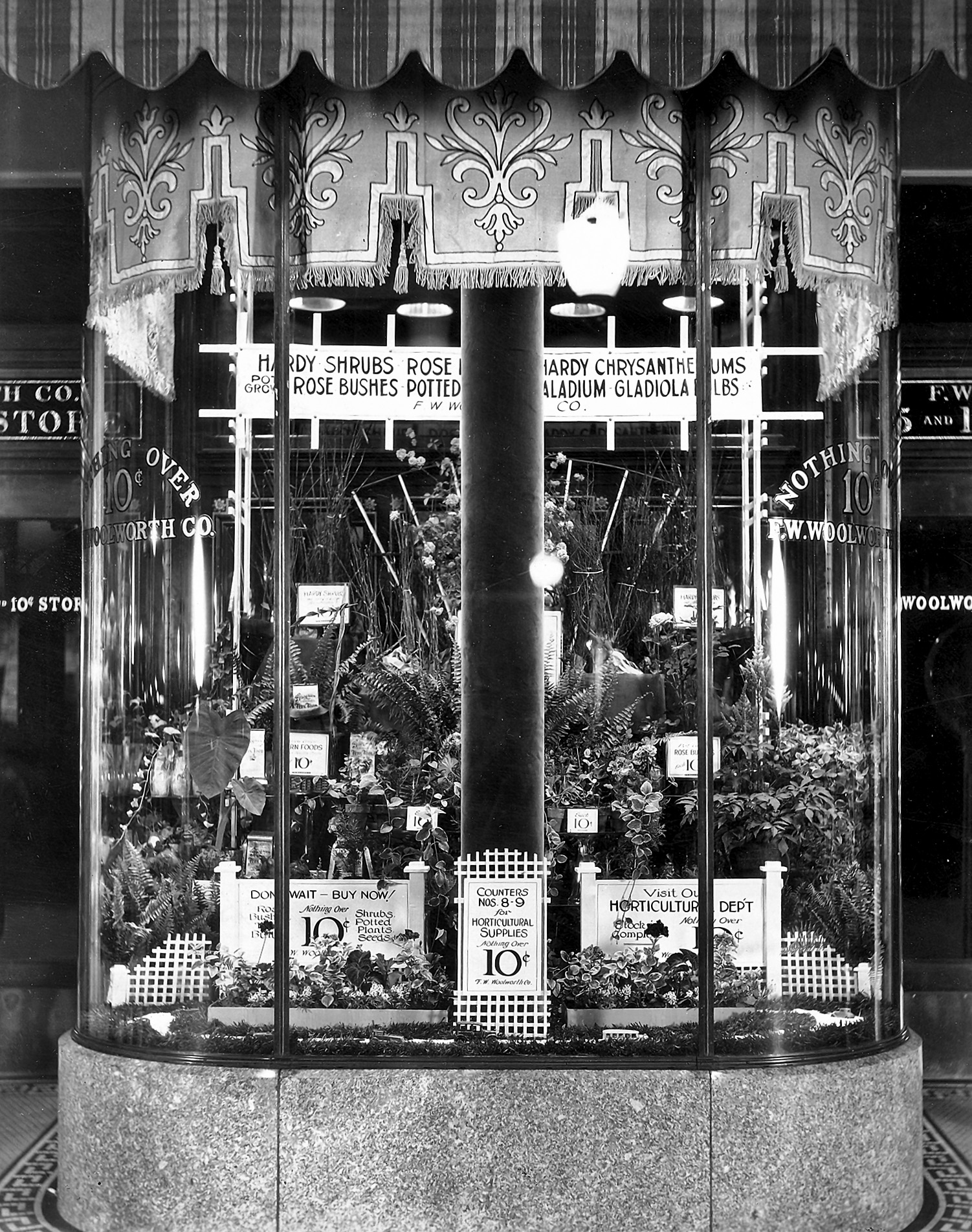 A window display from the 1920s from an F.W. Woolworth store in northwestern Ohio.  My great-uncle managed this store and invented the idea of selling live-plants at Woolworth's. View full size.