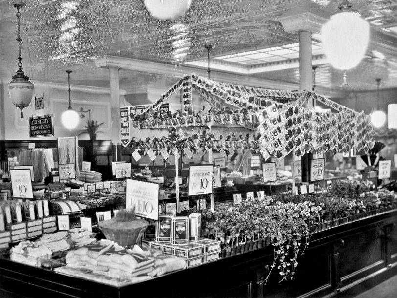 My great-uncle managed numerous Woolworth stores throughout Ohio during the 1920s and 30s. He pioneered the idea of selling live plants at Woolworth's, even after the company told him it would never work. He proved them wrong and the Horticulture Aisle became one of Woolworth's most profitable ventures. Here is one of his displays, probably from the late 1920's. View full size.
